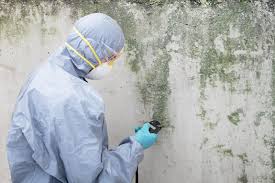 Best Mold Odor Removal Services  in USA